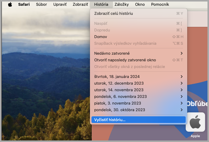 safari-menu-vycistit-historiu.png